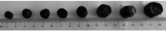 Preparation method of graphene macrobody with adjustable pores for supercapacitors