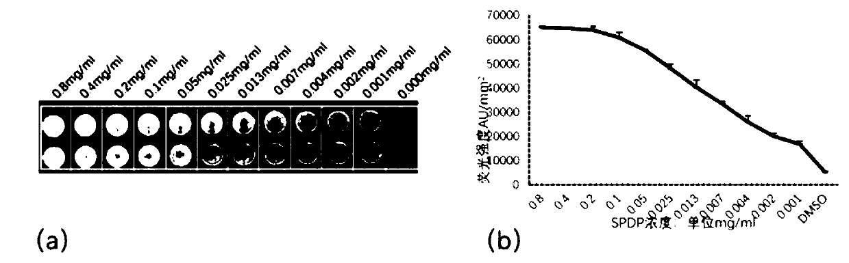 SPDP modified lectin chip for detecting liver cancer serum carbohydrate chains as well as preparation and application thereof