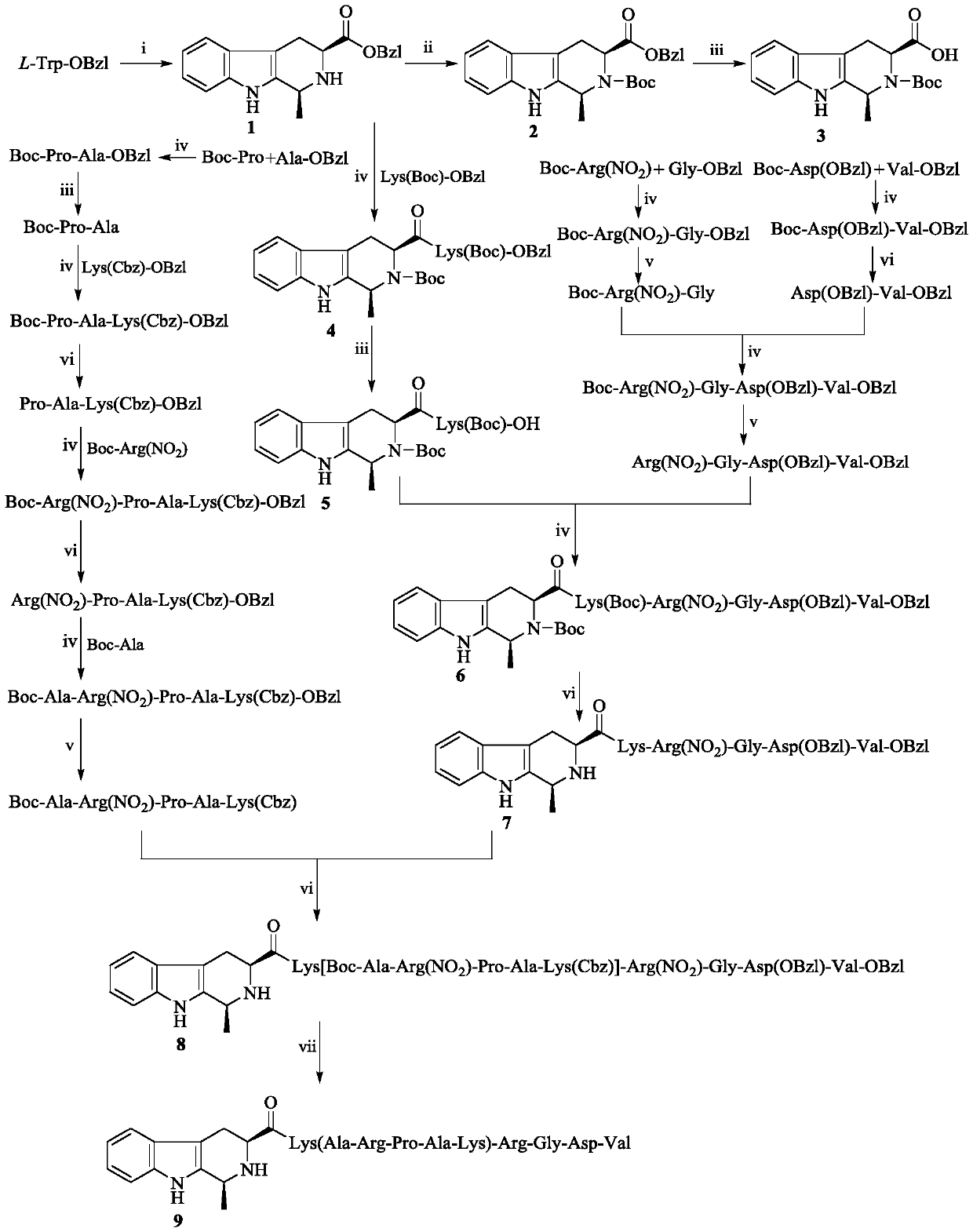 1S-methyl-beta-tetrahydrocarbolineacyl-K(ARPAK)-RGDV, synthesis, activity and application thereof
