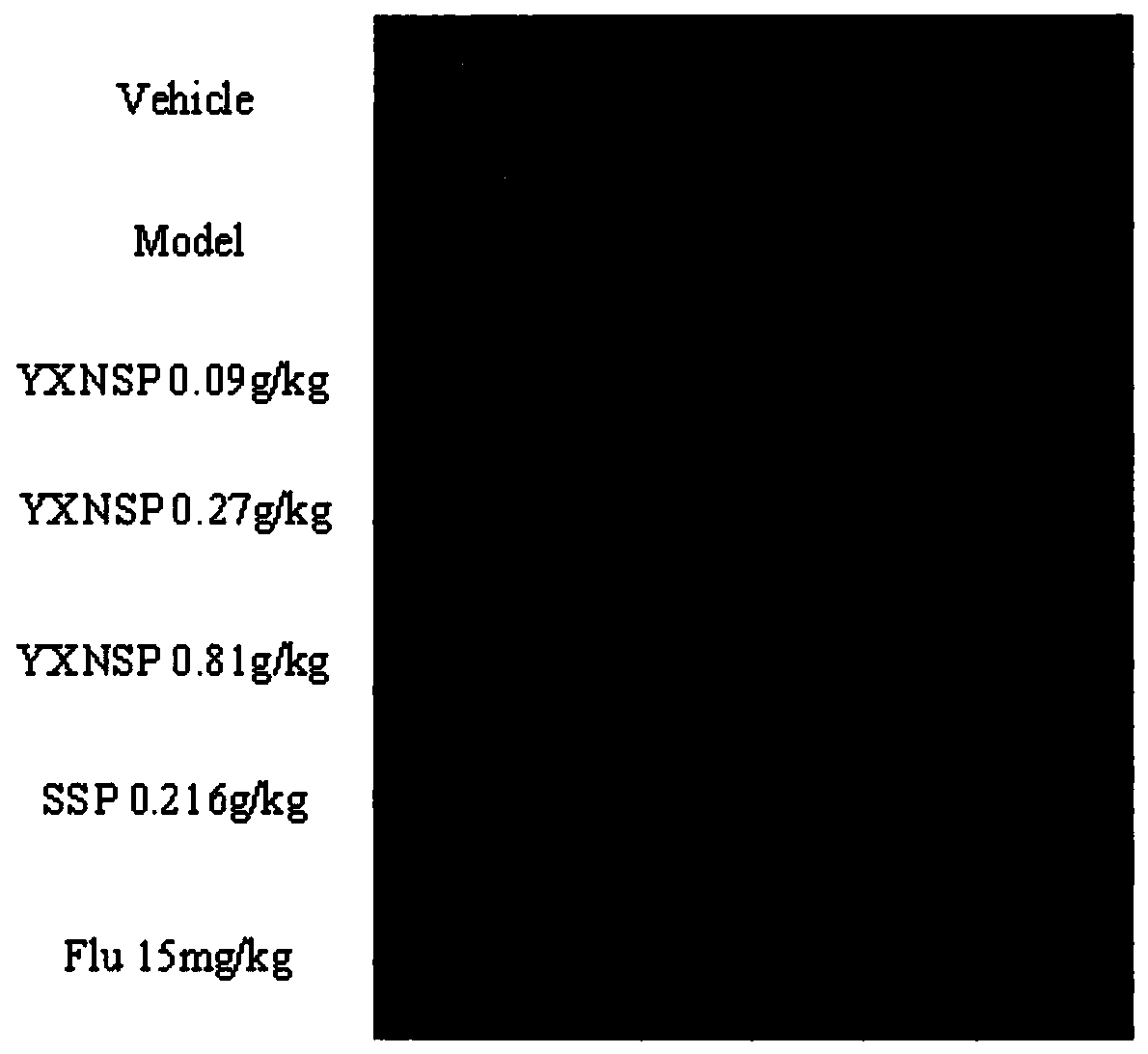 Application of Yixin Ningshen Tablets in the Preparation of Drugs for Treating Double Heart Disease