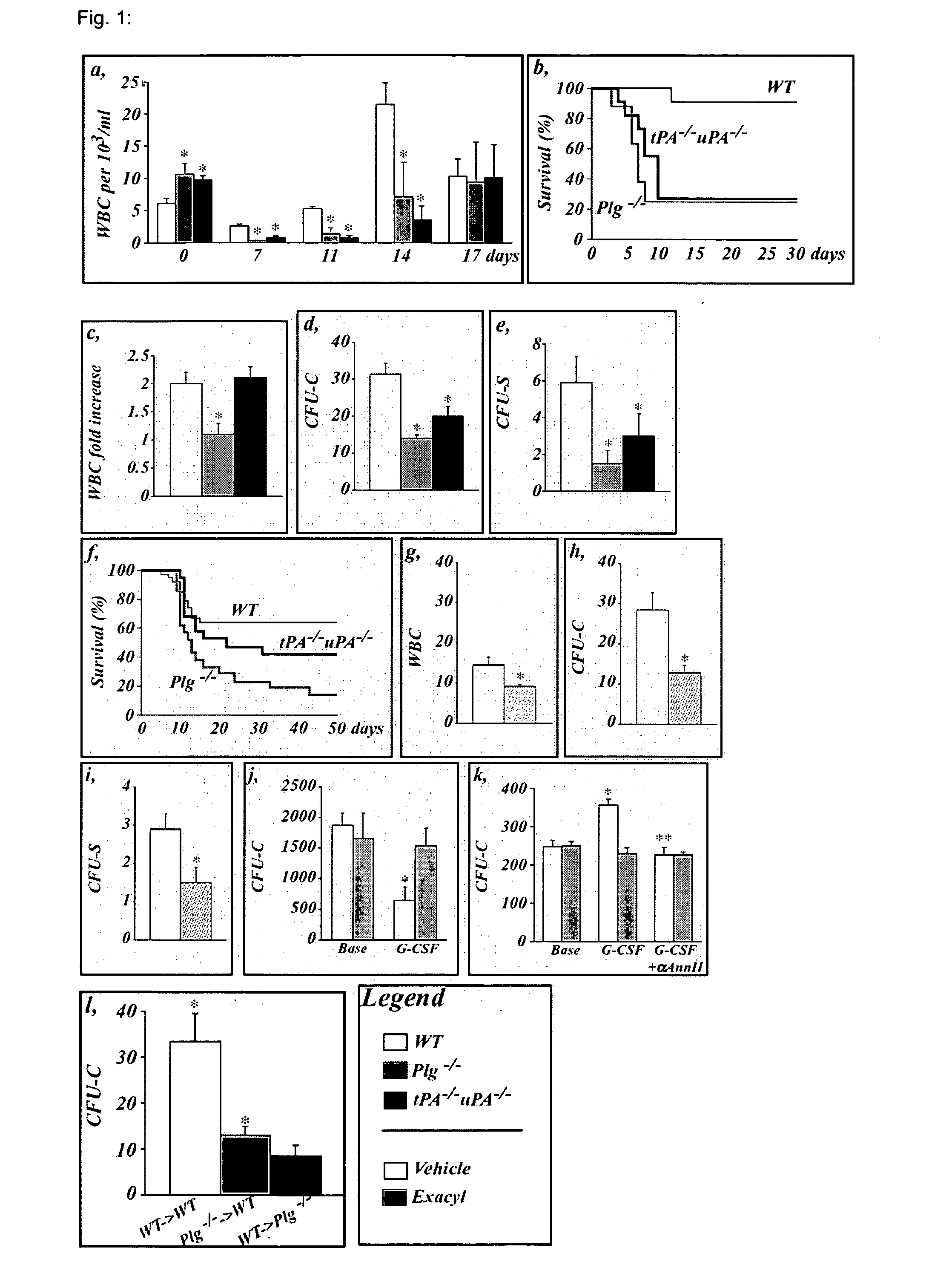 Means and methods for the recruitment and identification of stem cells