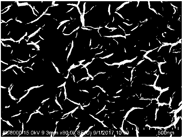 Preparation method and application of carbon nanofiber/metal-phase molybdenum disulfide/sulphur composite material having multi-stage structure