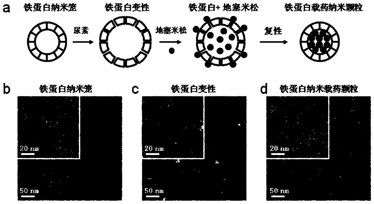 Preparation and application of an antifouling coating on the surface of an implantable sensor