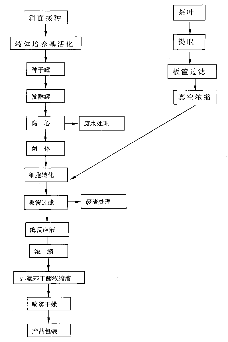 Production process of tea gamma-aminobutyric acid