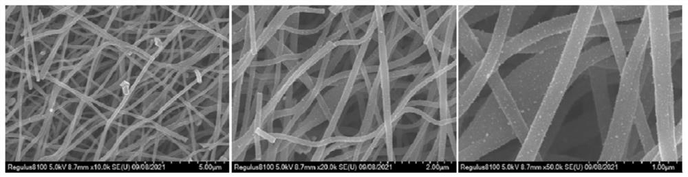 Preparation method of flexible self-supporting iron-doped porous carbon nanofiber lithium metal negative electrode framework material