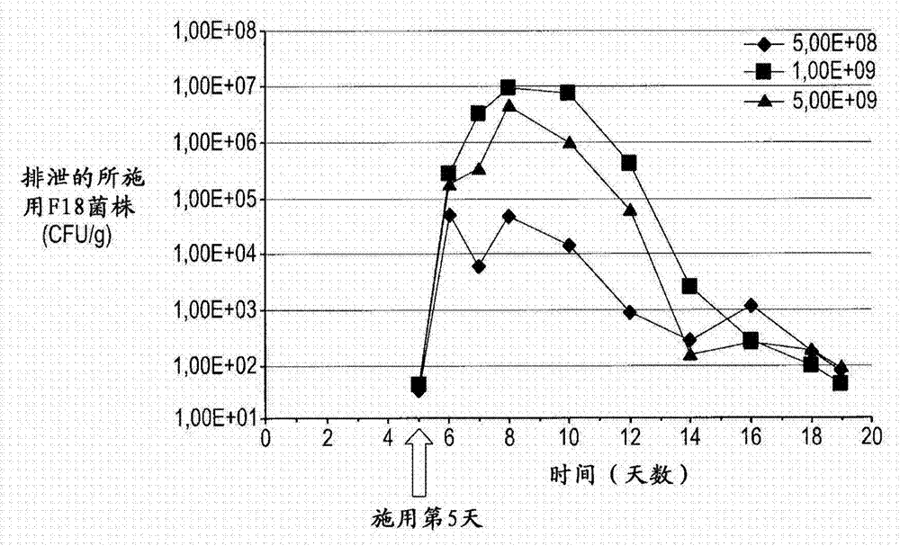 Non-pathogenic F18 E. coli strain and use thereof