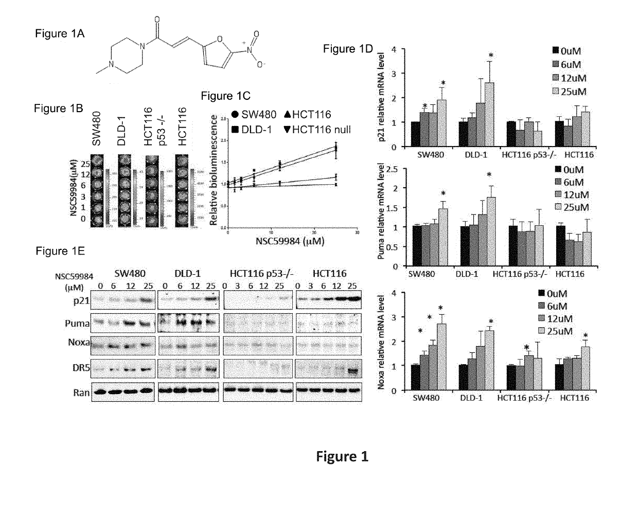 Compound For Anti-Cancer Therapy That Acts By Targeting GOF Mutant P53 And Stimulates P73 To Restore The P53 Pathway Signaling