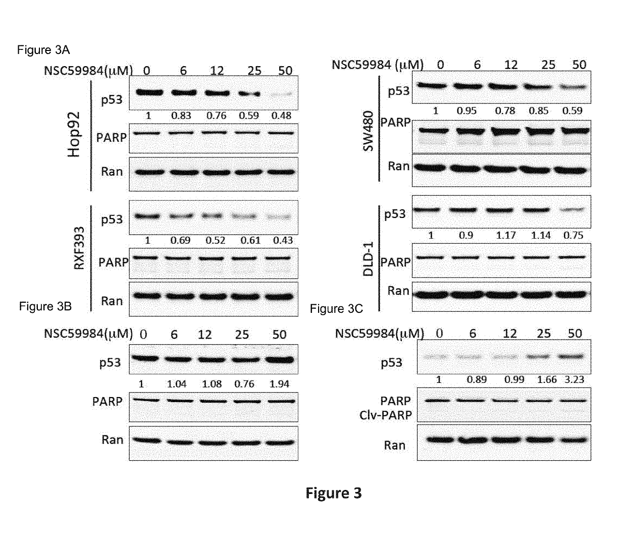 Compound For Anti-Cancer Therapy That Acts By Targeting GOF Mutant P53 And Stimulates P73 To Restore The P53 Pathway Signaling