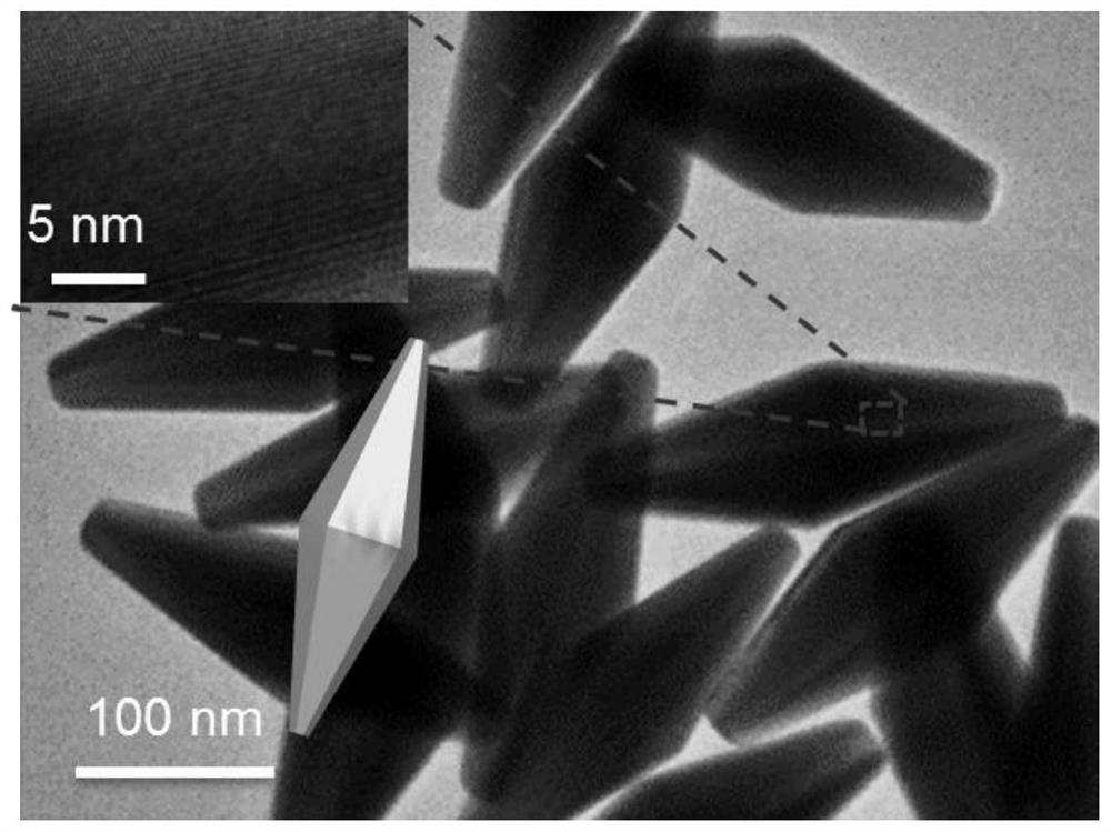 A nano-drug that triggers tumor immunogenic death by near-infrared light and its preparation method and application