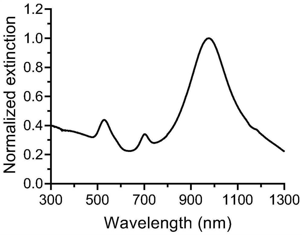 A nano-drug that triggers tumor immunogenic death by near-infrared light and its preparation method and application