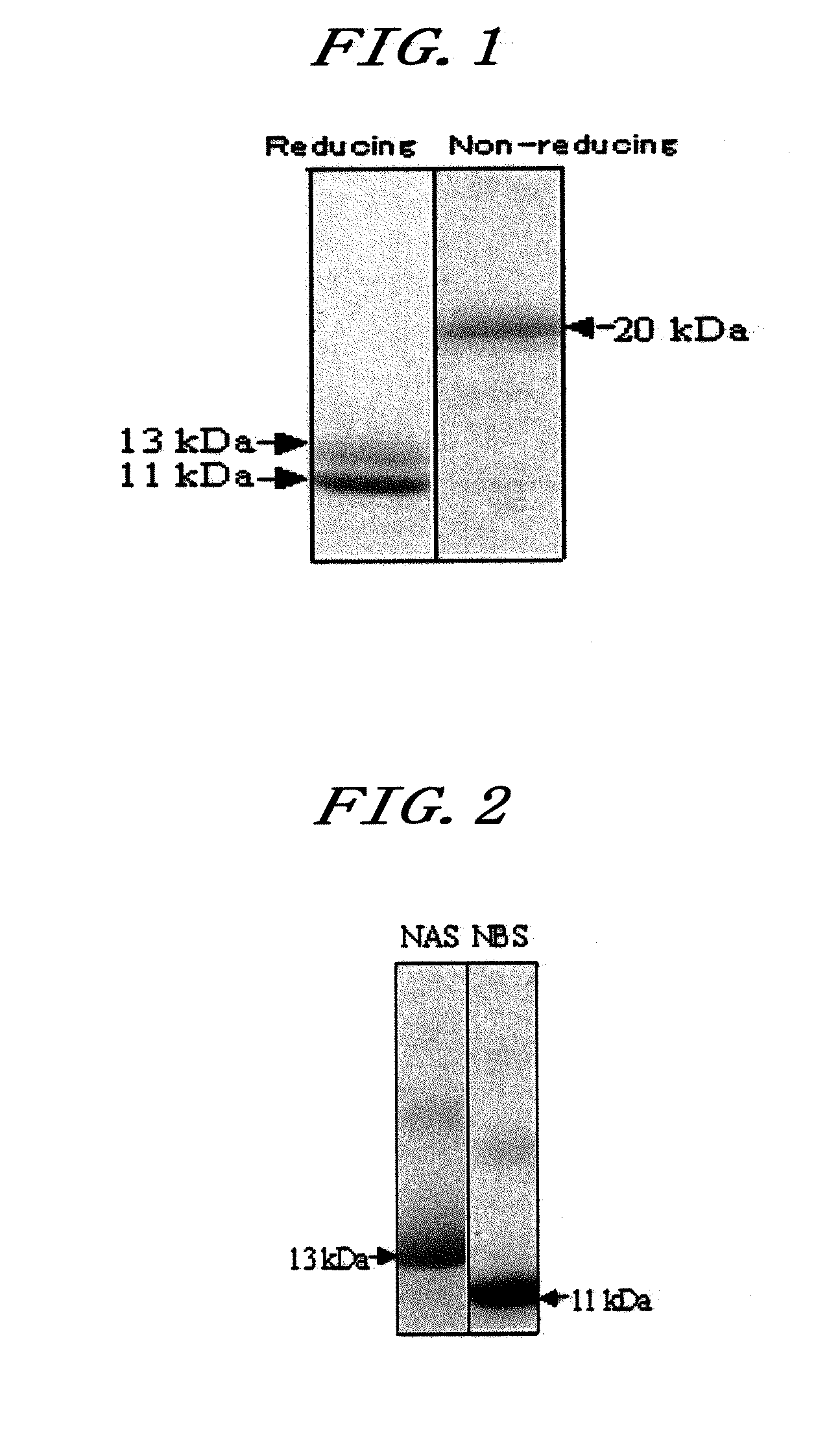 Novel taste-modifying polypeptide nas, DNA thereof and use thereof