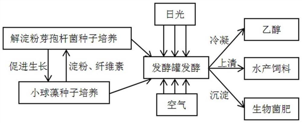 A double-cell continuous fermentation method with high ethanol production