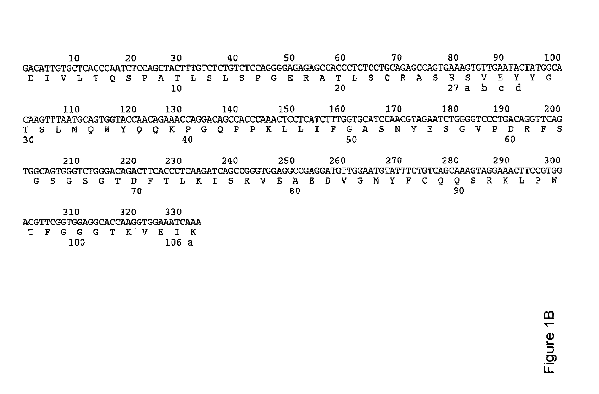 Humanised Antibodies to Toll-Like Receptor 2 and Uses Thereof