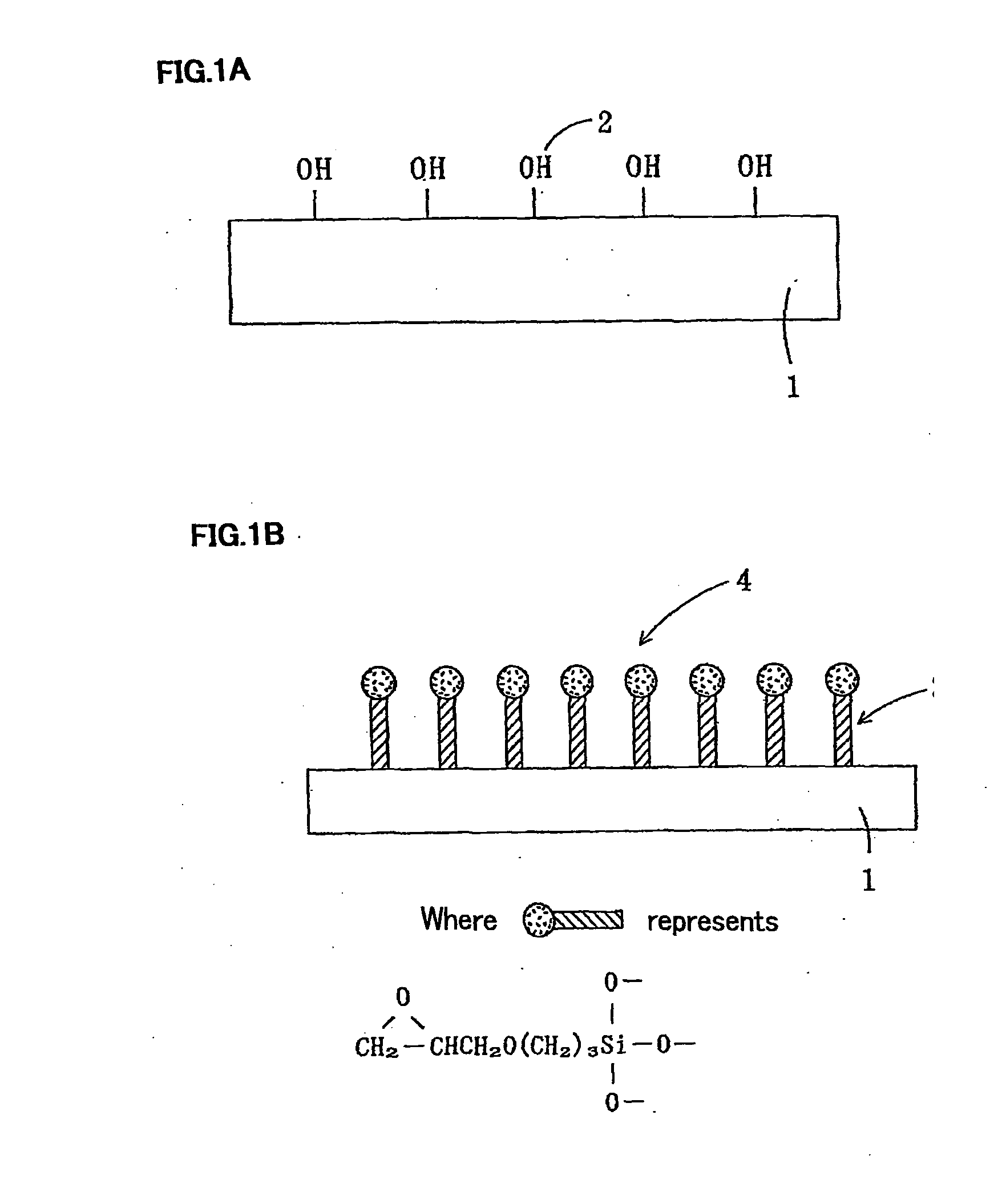 Solar energy utilization device and method for manufacturing the same