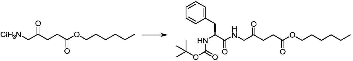 A class of 5-aminolevulinic acid derivatives and its preparation method and application