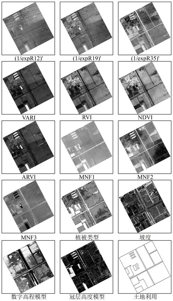 Aboveground Biomass Estimation and Scale Transformation Method for Homogeneous Regional Spectral Units