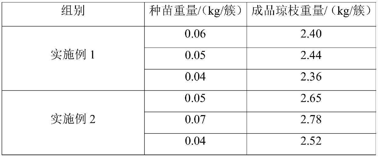 A kind of floating raft hanging net type planting method of Qiongzhi