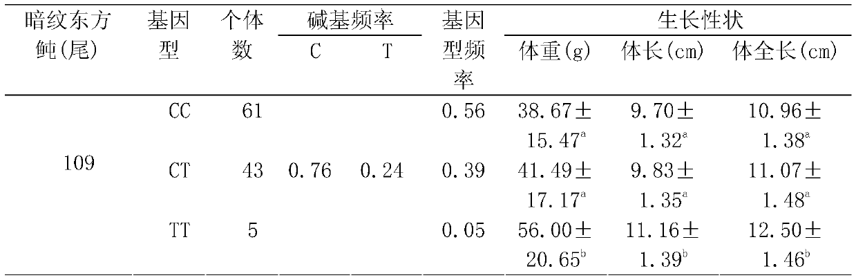 SNP locus related to rapid growth of takifugu obscurus and application thereof
