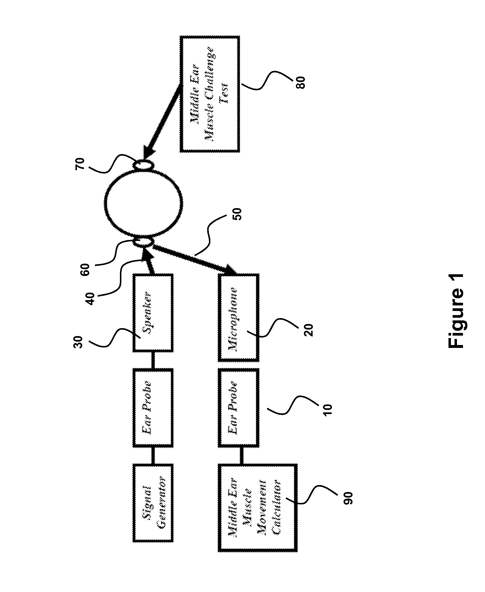 Method and Apparatus for Evaluating Dynamic Middle Ear Muscle Activity