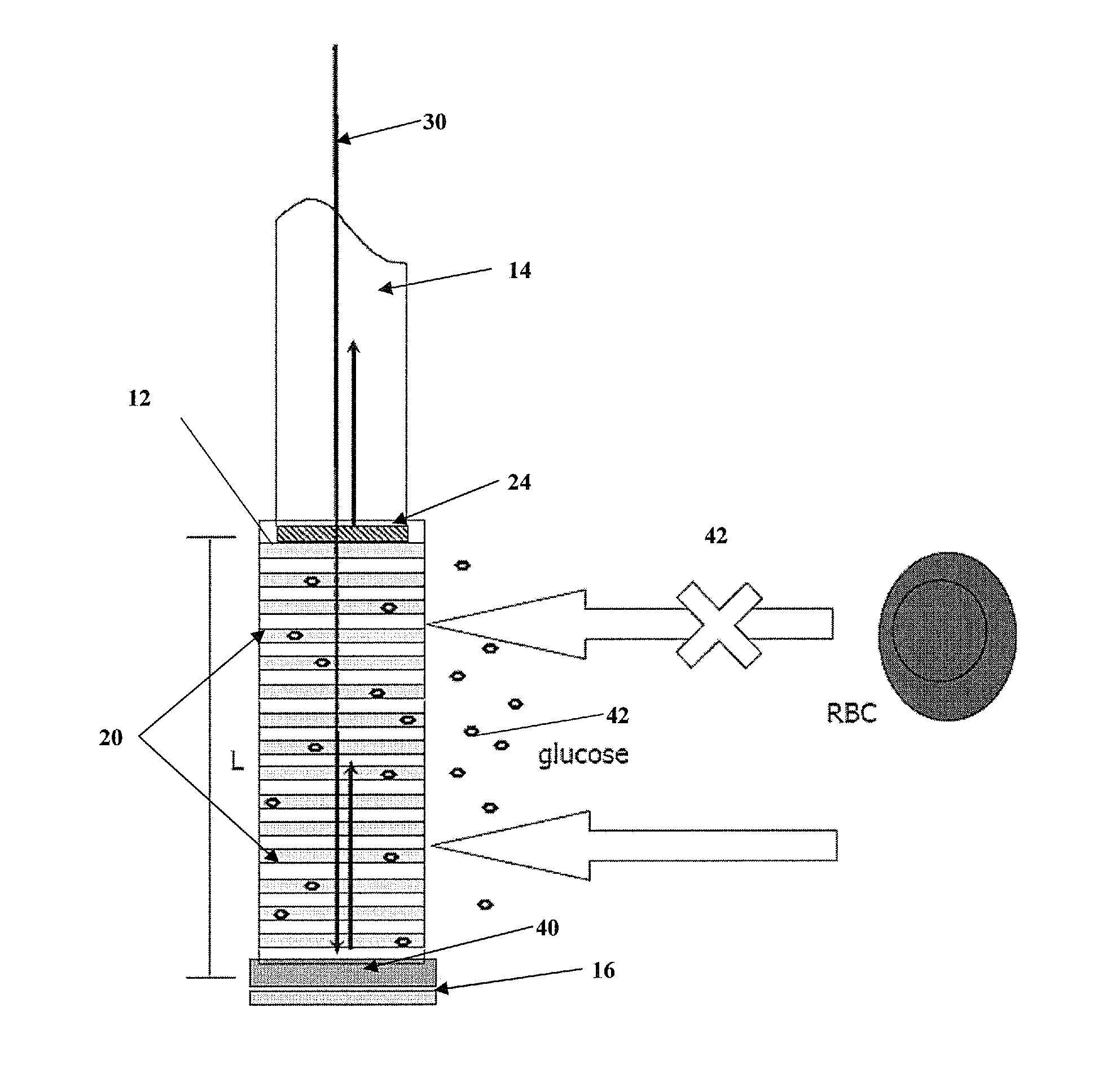 Analyte sensor method and apparatus