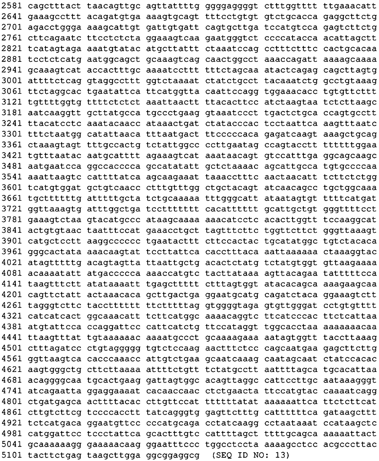 Gene editing methods and compositions for eliminating risk of jc virus activation and pml (progressive multifocal leukoencephalopathy) during immunosuppresive therapy