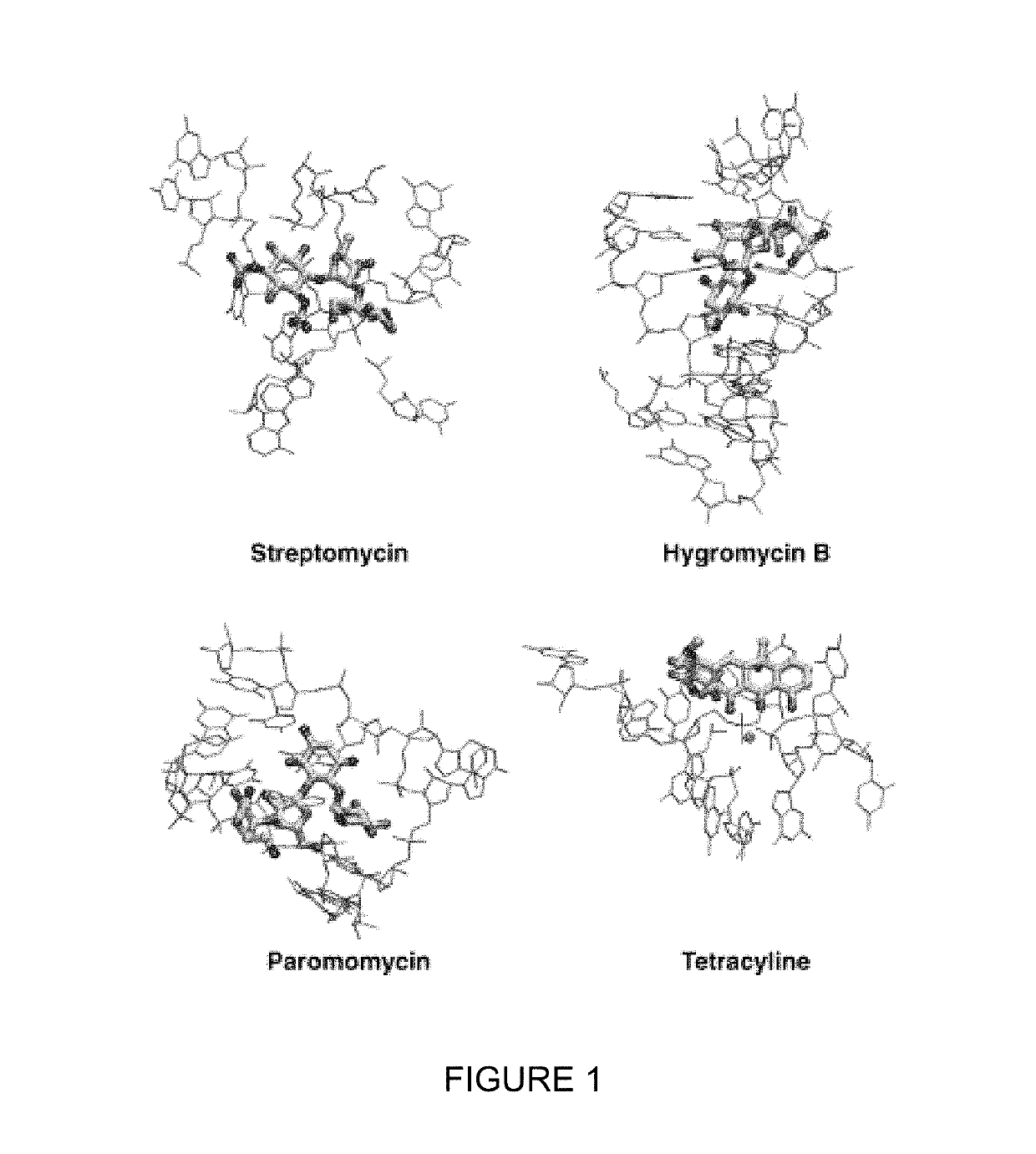 T-box riboswitch-binding anti-bacterial compounds