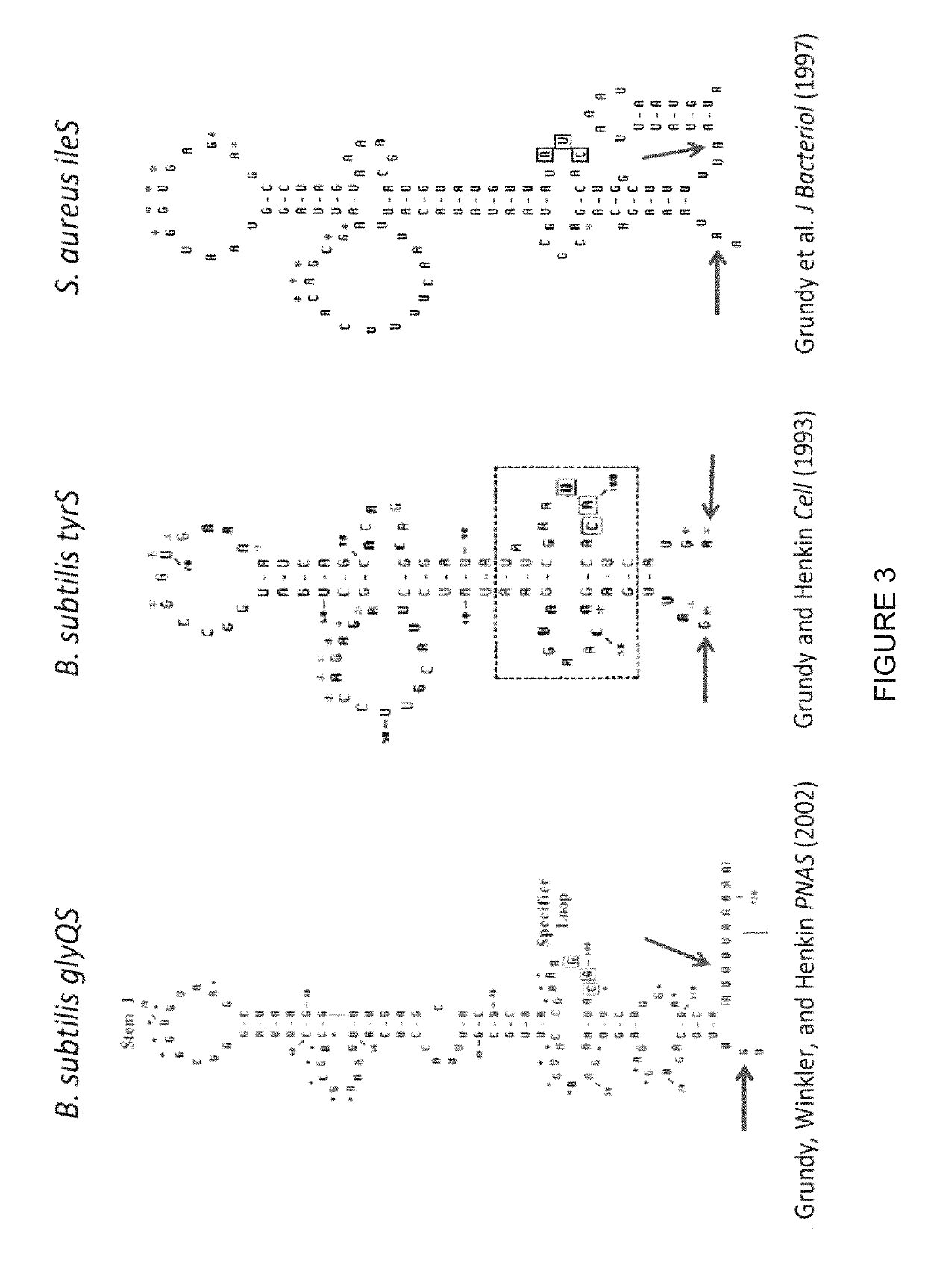 T-box riboswitch-binding anti-bacterial compounds