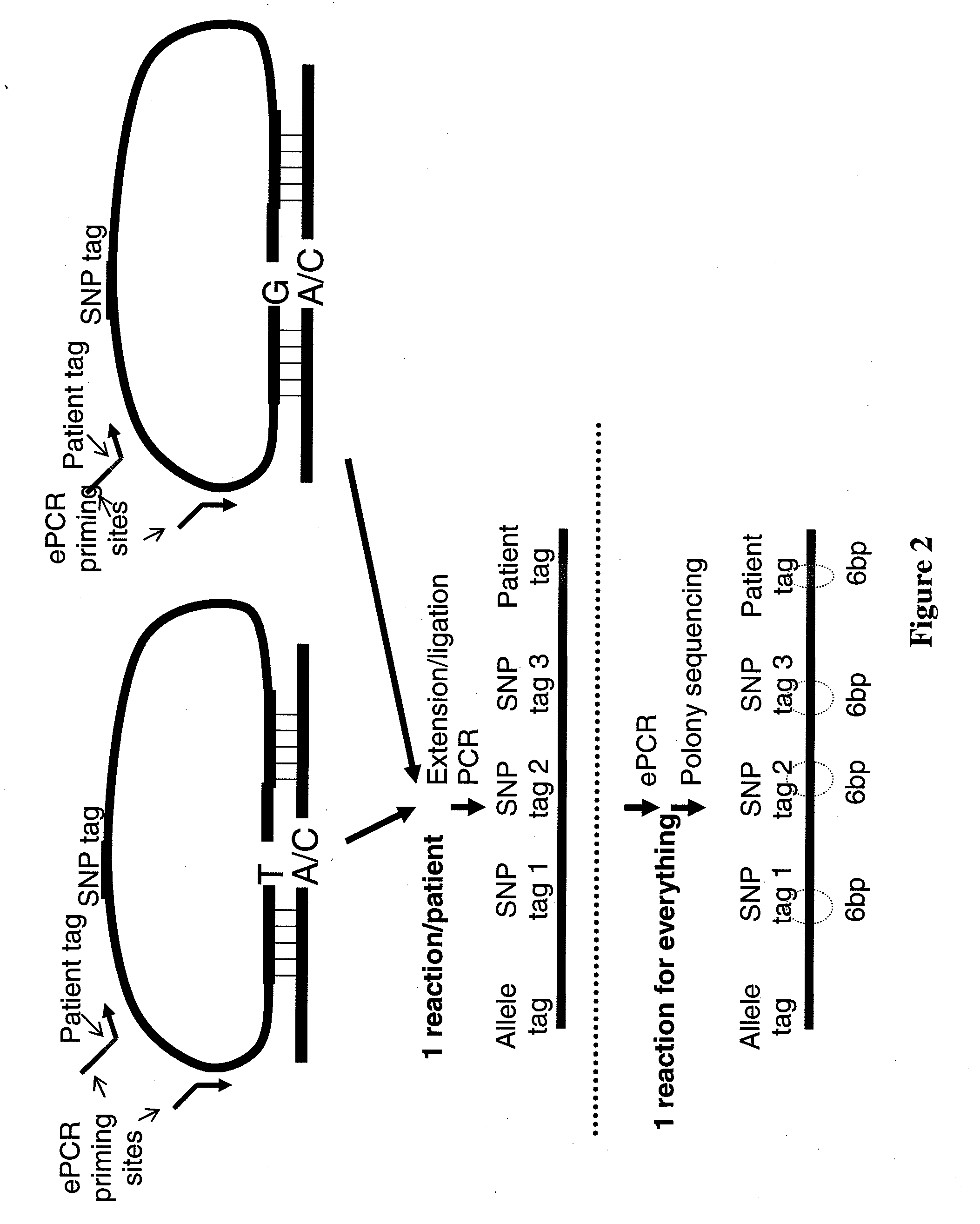 Methods for making nucleotide probes for sequencing and synthesis