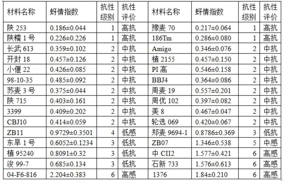 Wheat growth period field aphid resistance screening and identifying device