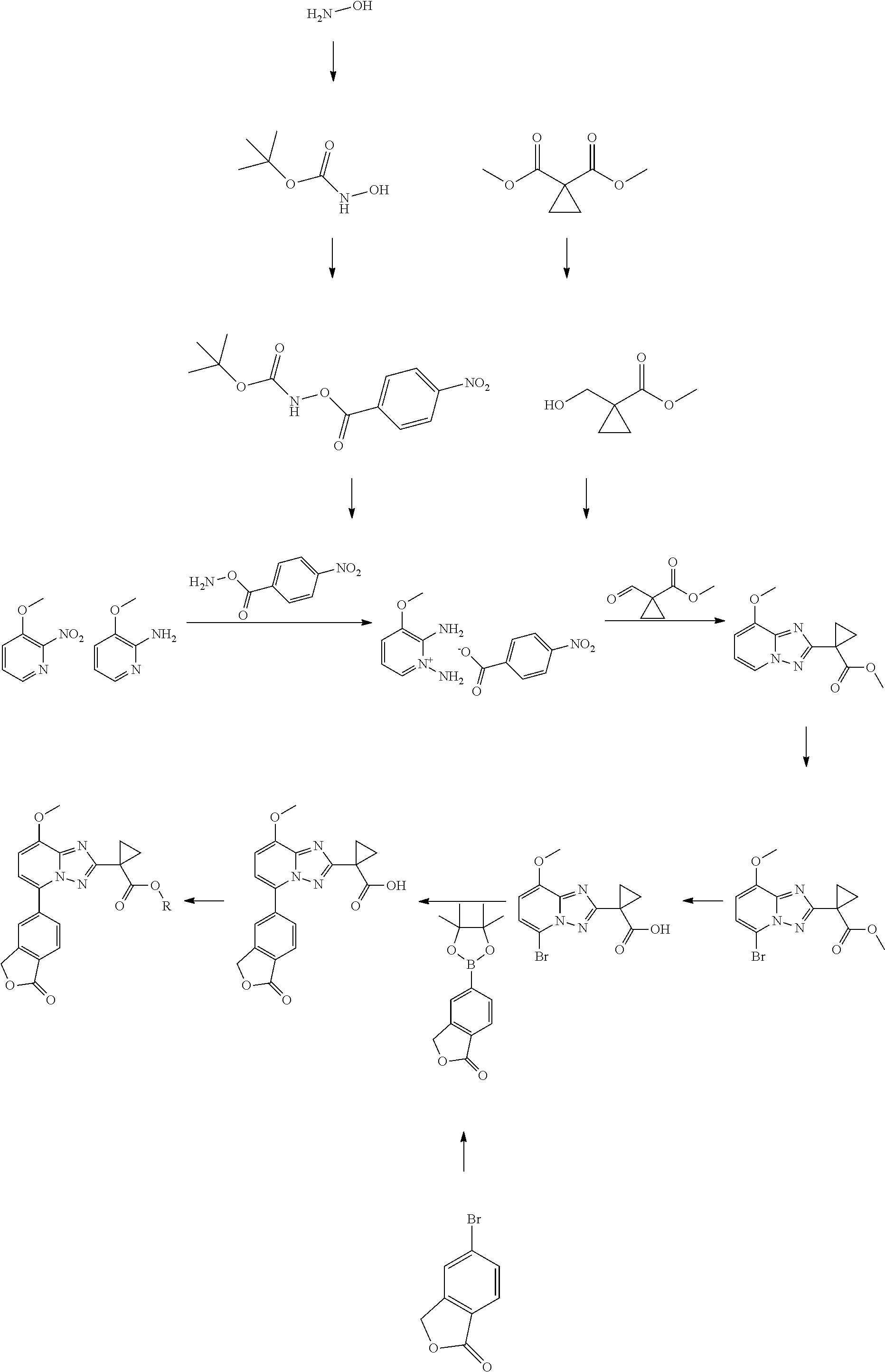 [1,2,4]triazolopyridines and their use as phosphodiesterase inhibitors