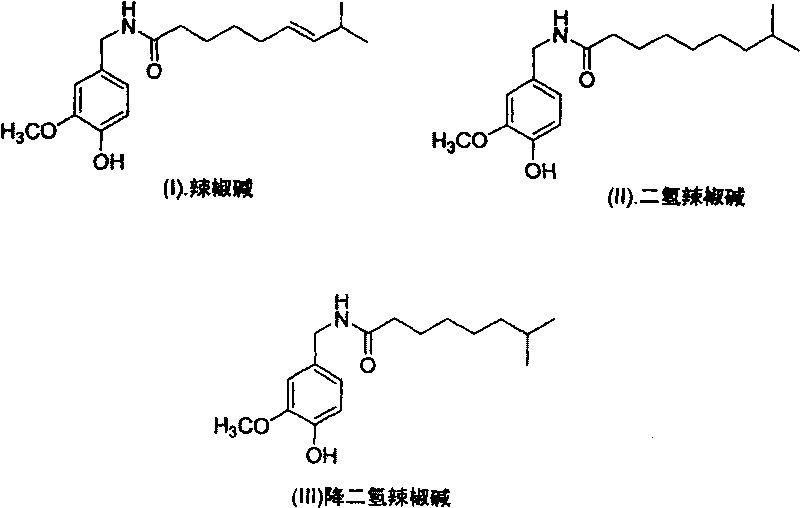 Artificial synthesis method of capsaicin homologue