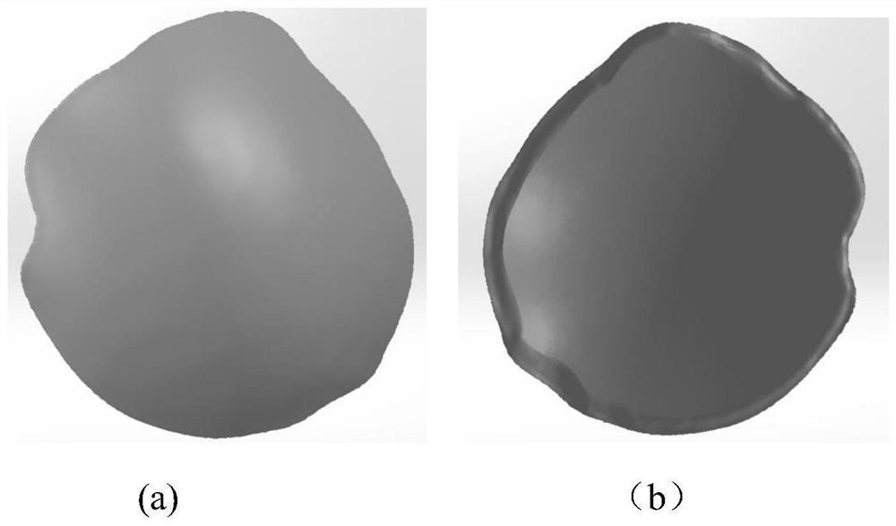 A kind of porous polyetheretherketone skull substitute and its manufacturing method