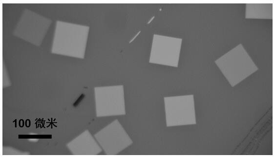 A method for preparing layered bismuth oxide selenium semiconductor thin film by reverse air flow method