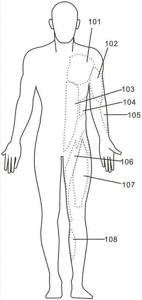 Agonist utilizing compression tights and production method for same