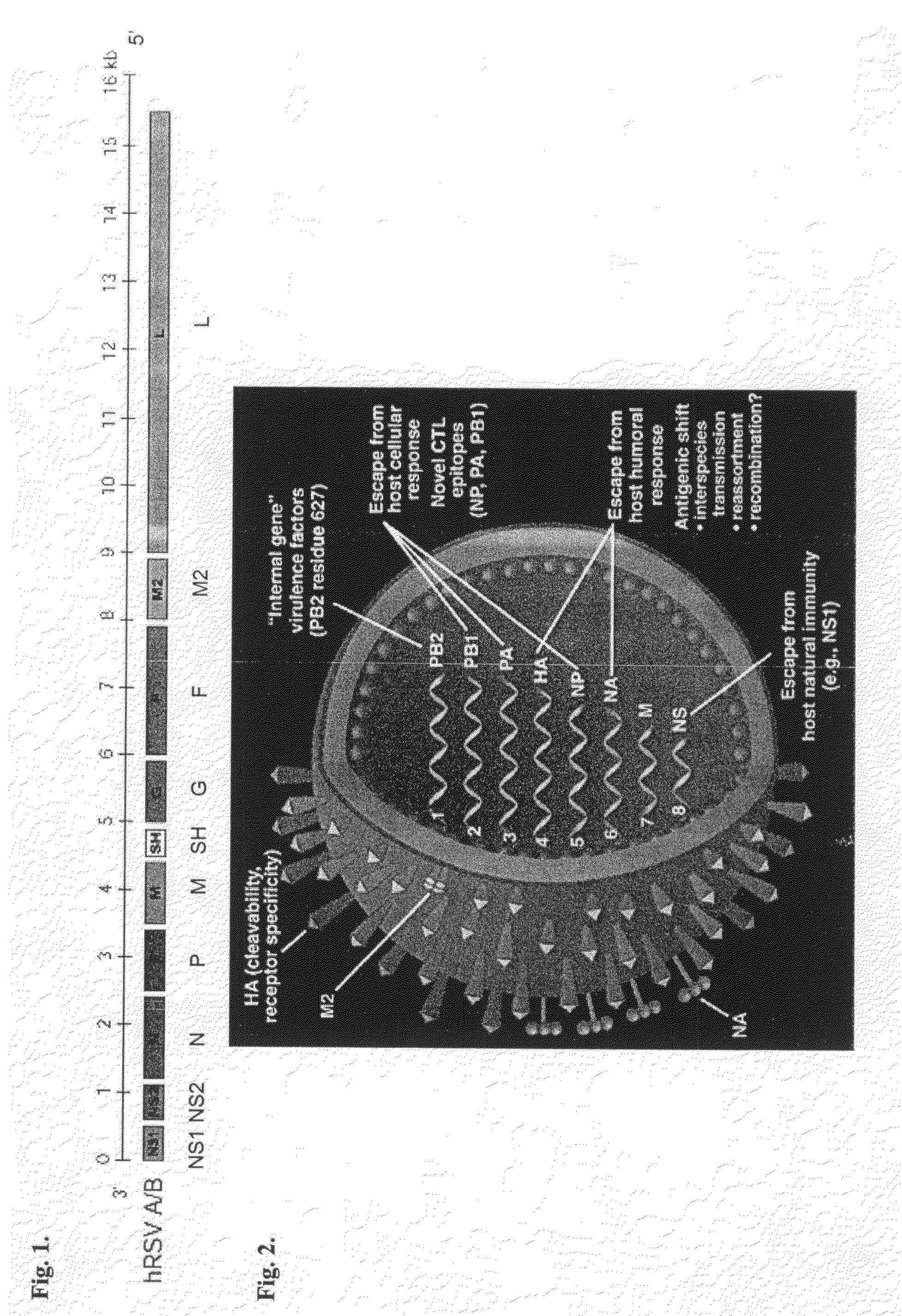 Compositions For Treating Respiratory Viral Infections and Their Use