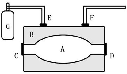 In-vitro cardiopulmonary combined perfusion system and perfusion method