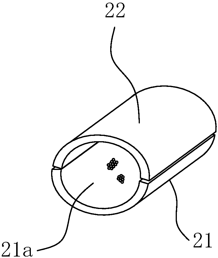 A fish fertilized egg hatching device and hatching method