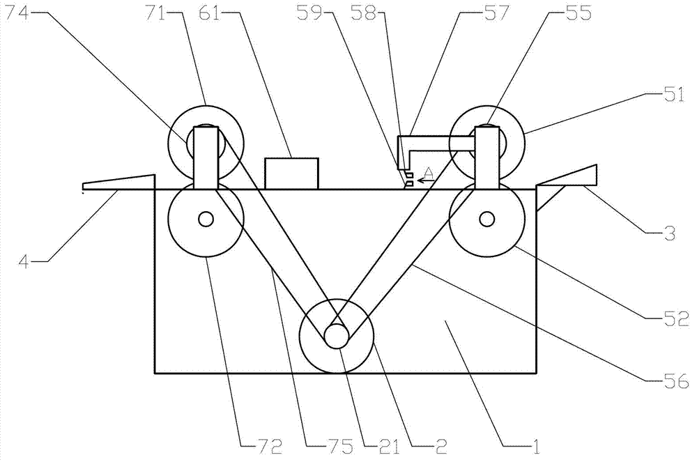 Platycodon grandiflorum peeler