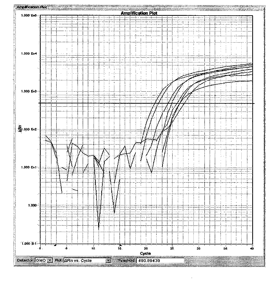 Kit and detection method for quickly screening mango-derived component in food and beverage