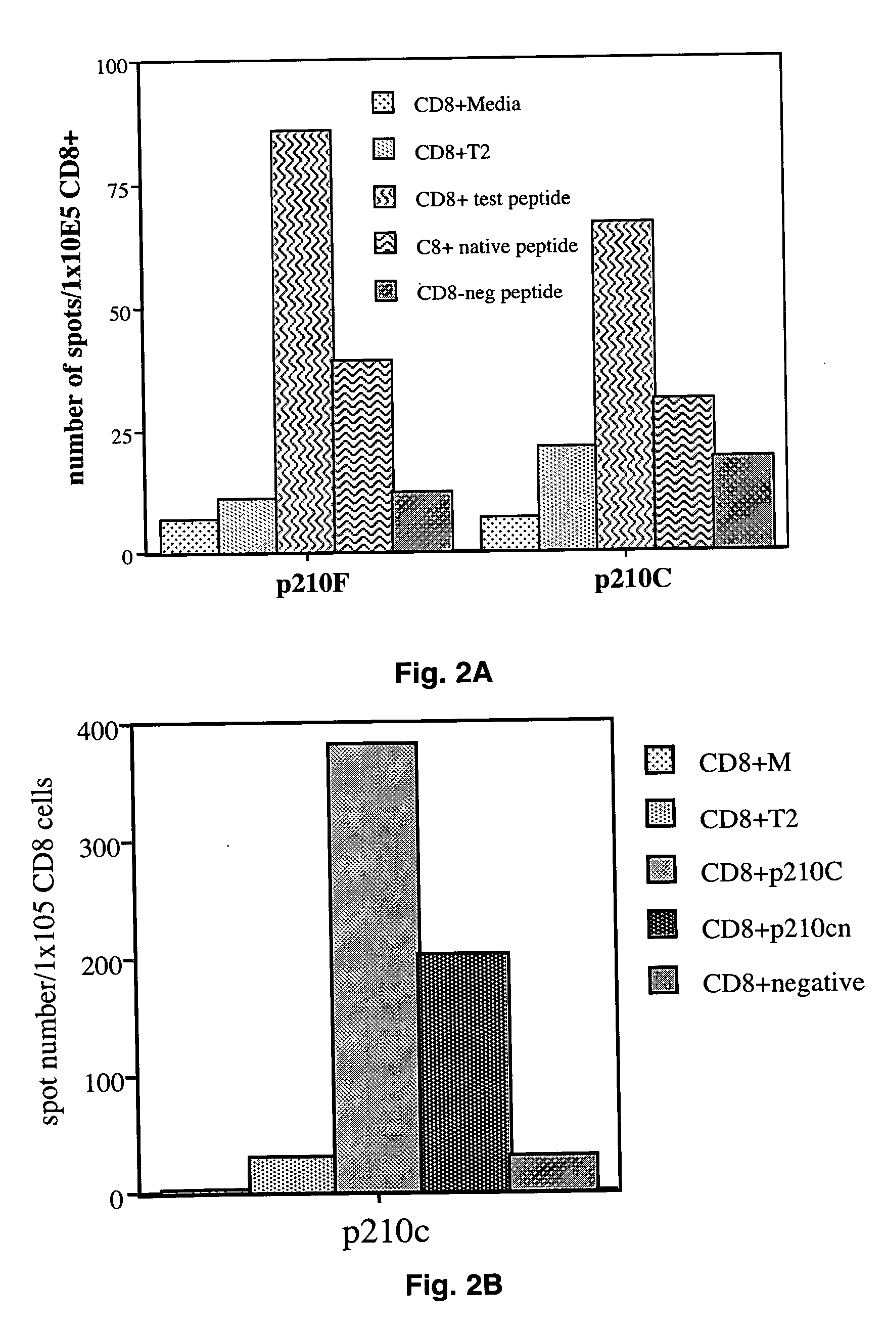 Synthetic HLA binding peptide analogues and uses thereof