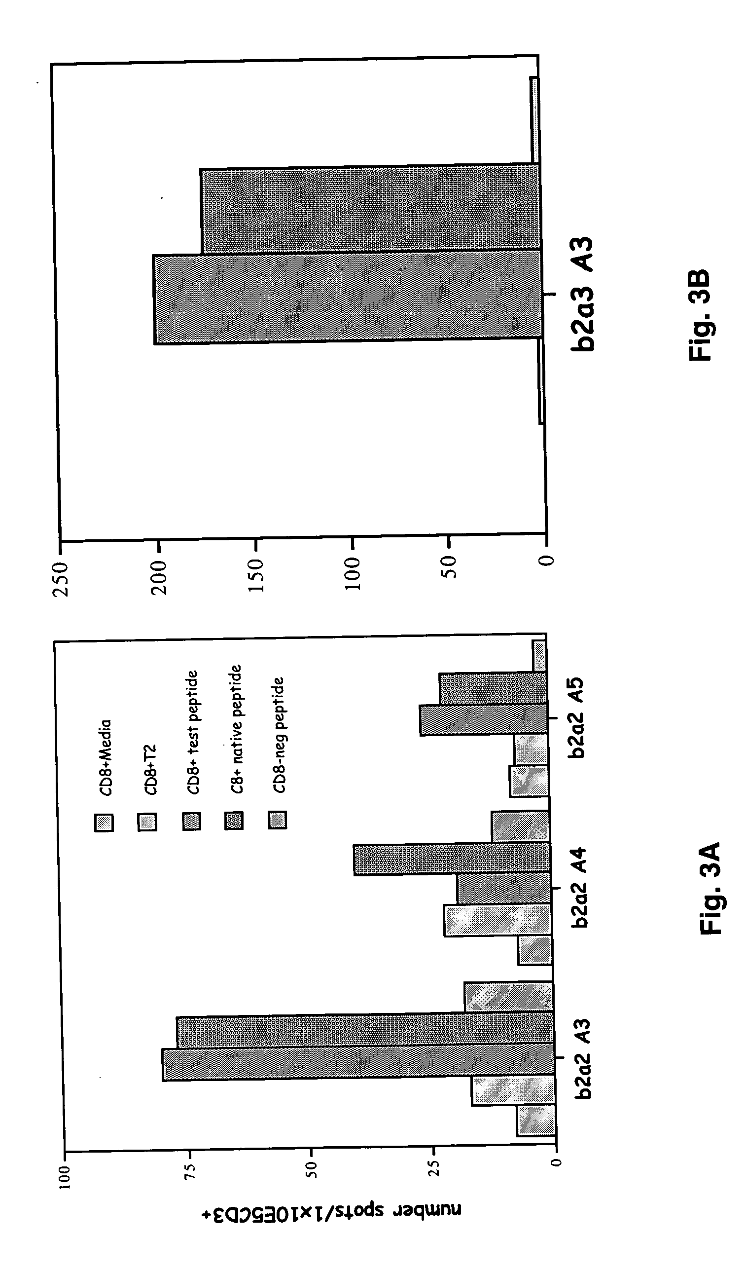 Synthetic HLA binding peptide analogues and uses thereof