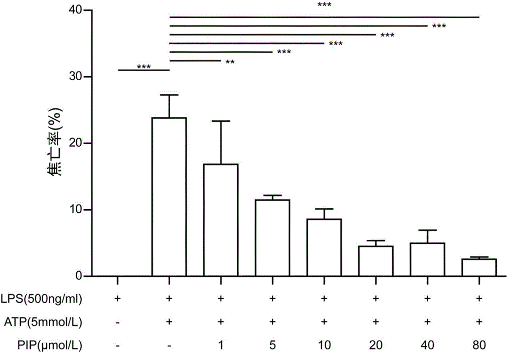 Application of piperine in preparation of drugs for resisting pyroptosis and multiple organ injury