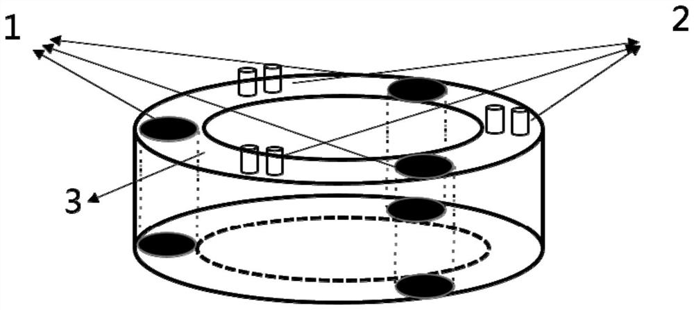 Radiotherapy position and dose real-time monitoring and positioning device, tumor radiotherapy system