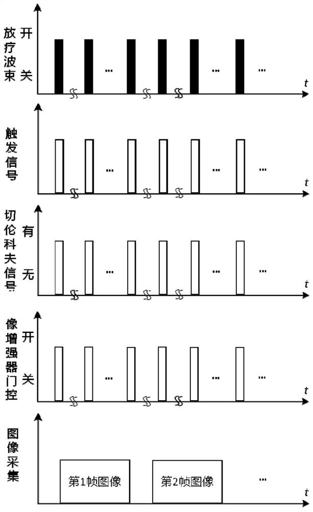 Radiotherapy position and dose real-time monitoring and positioning device, tumor radiotherapy system