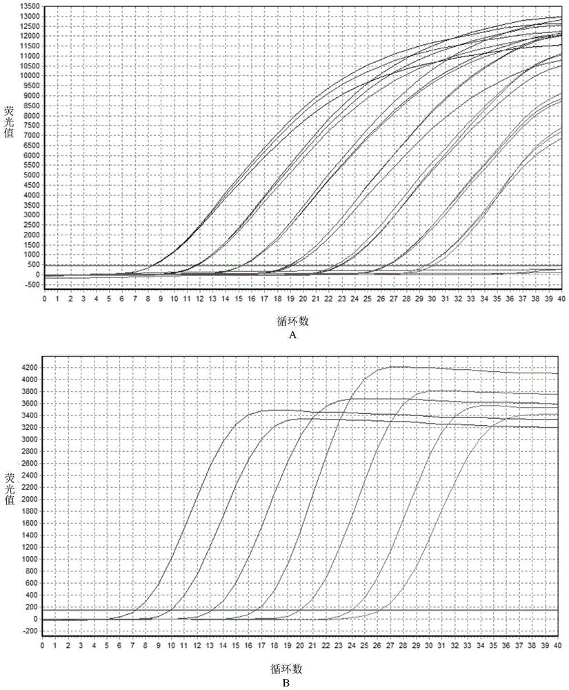 Fluorescence quantitative pcr detection method of a kind of duck tlr3 gene