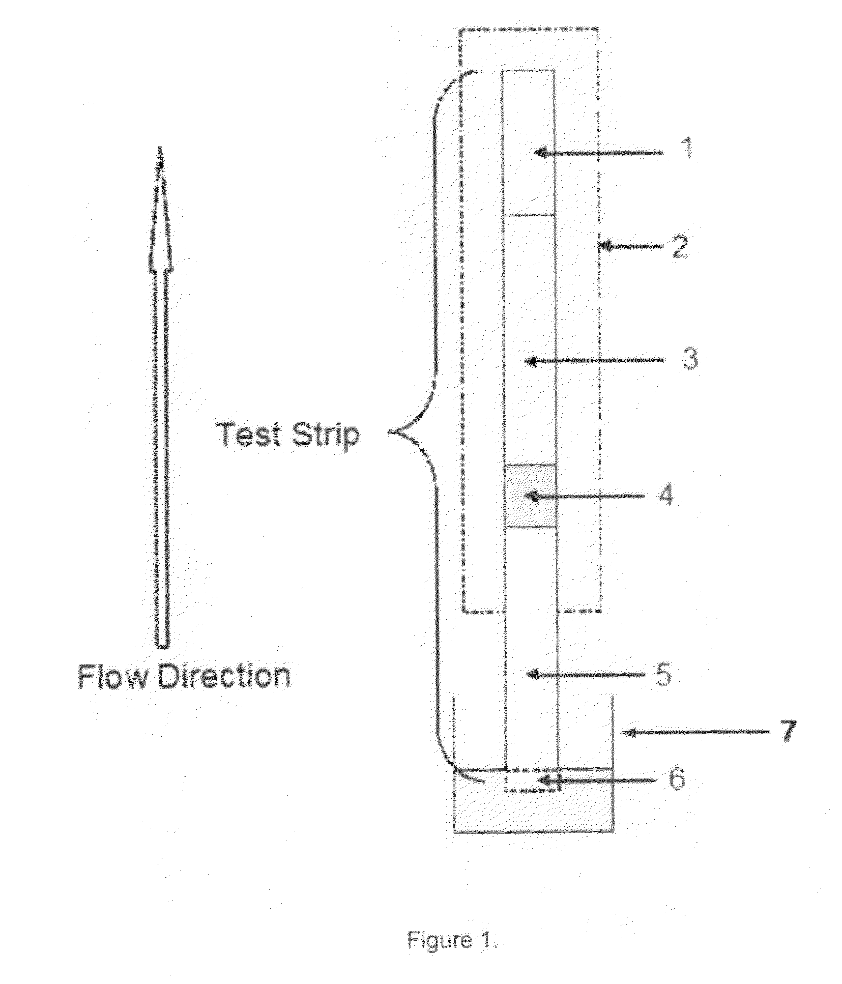 Rapid Lateral Flow Assay Method for Detecting Low Quantity Liquid or Dry Samples