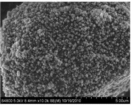A kind of negative electrode active material and its preparation method and a kind of lithium ion battery