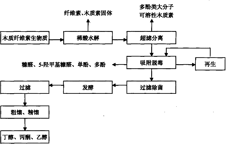 Method for fermenting and preparing biological butyl alcohol by using lignocellulose biomass as raw material