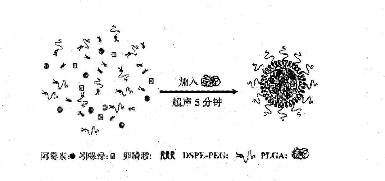 Nanometer medicine particle, preparation method and application thereof