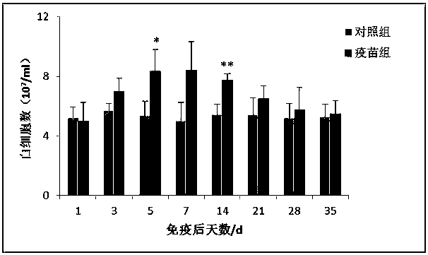 A kind of grass carp reovirus fibril-like spike vp56 protein subunit vaccine and its preparation method and application